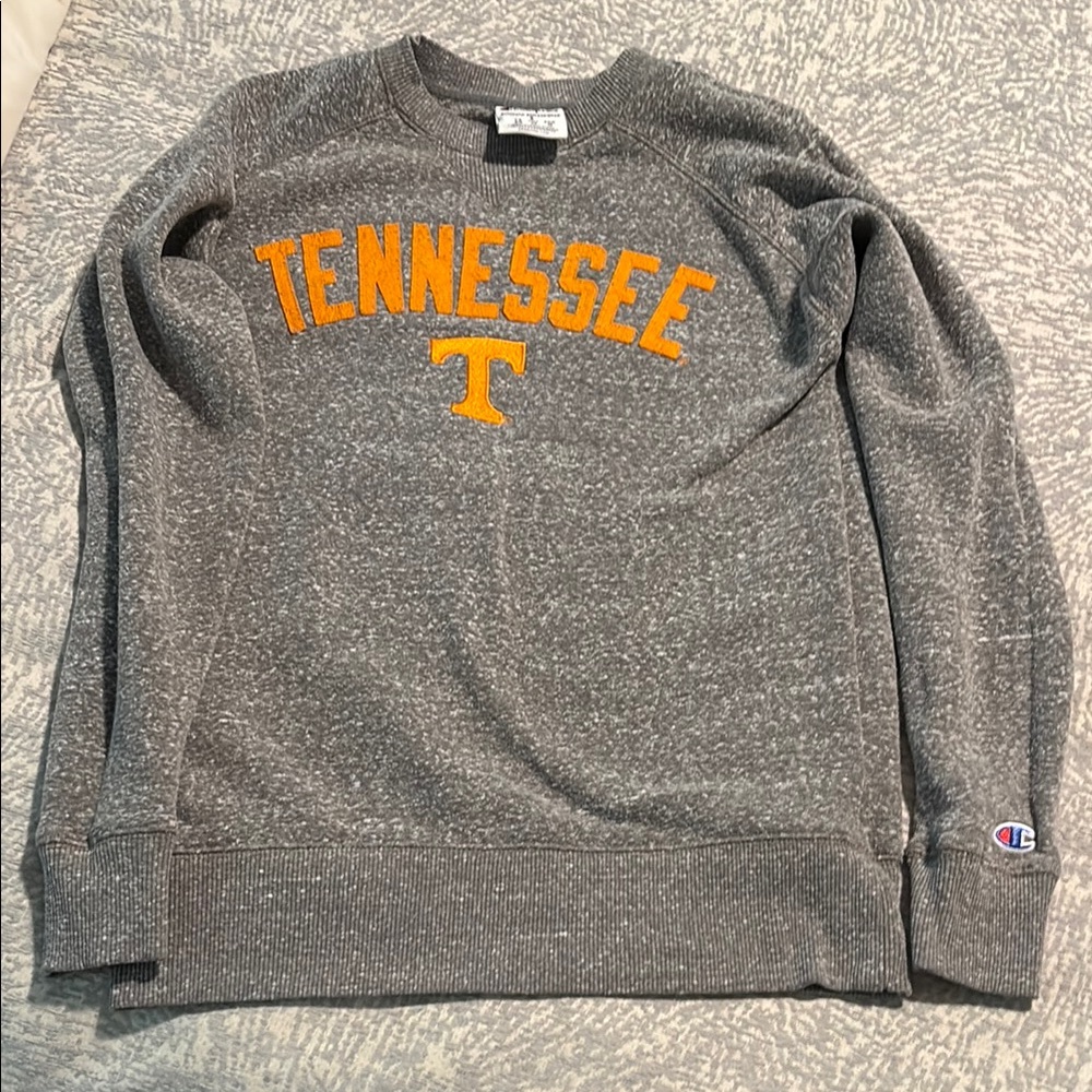 Champion Collegiate Gray and Orange Crewneck Sweater